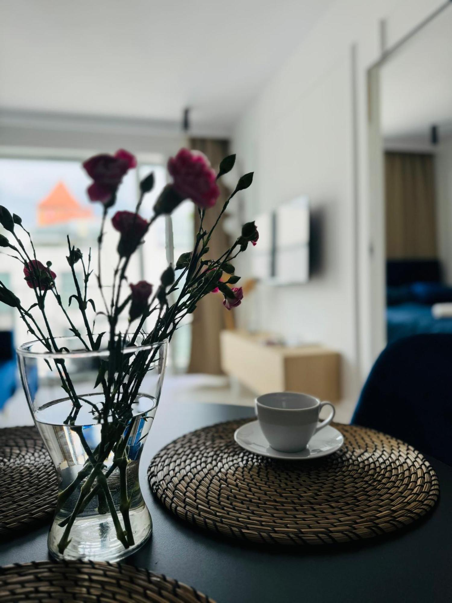 Penthouse21 Apartment Oswiecim Luaran gambar